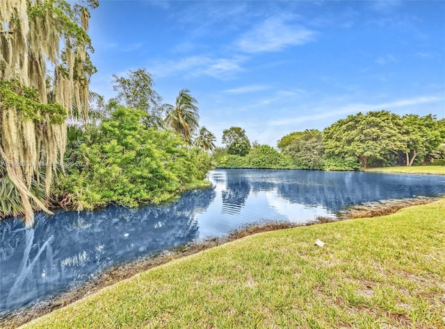 view of water feature