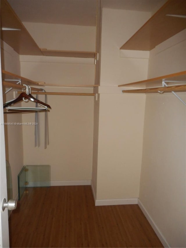 walk in closet with dark hardwood / wood-style floors