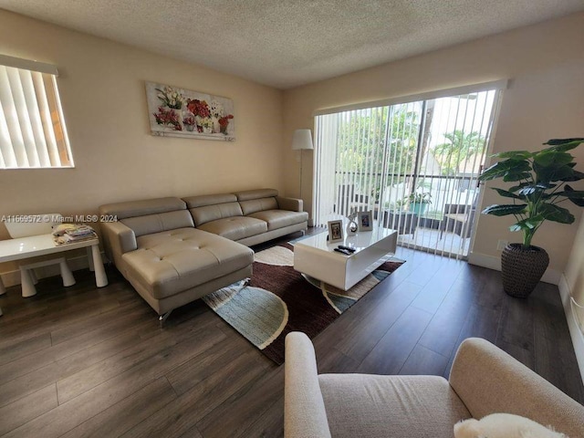 living room with a textured ceiling and dark hardwood / wood-style floors