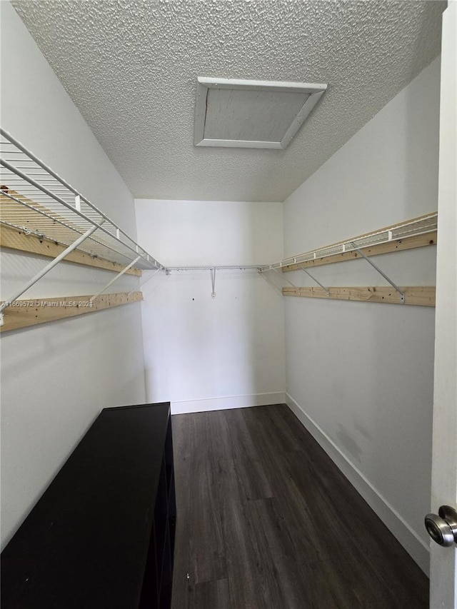 spacious closet with dark wood-type flooring