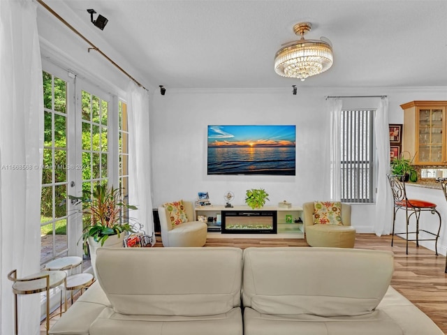 living room featuring crown molding, a chandelier, and light wood-type flooring