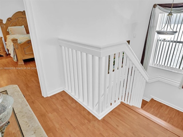 stairway with hardwood / wood-style floors