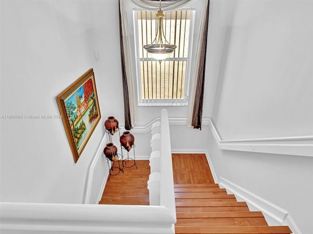 staircase with wood-type flooring