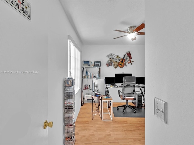 office space featuring ceiling fan and wood-type flooring