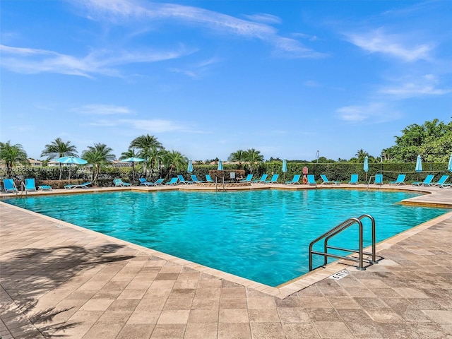 view of swimming pool