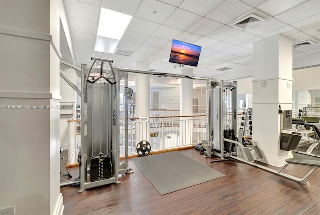 workout area featuring a drop ceiling and dark hardwood / wood-style flooring