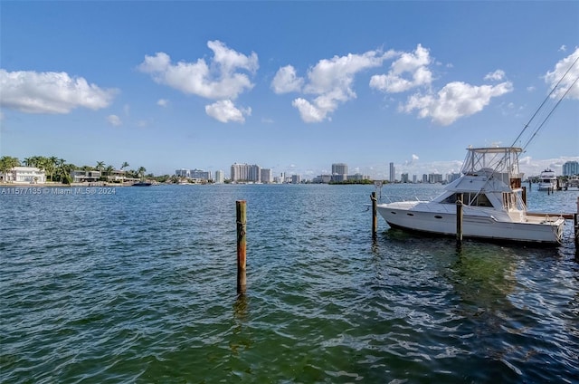 view of dock with a water view