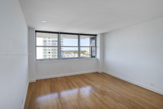 empty room featuring light wood-type flooring and a wealth of natural light