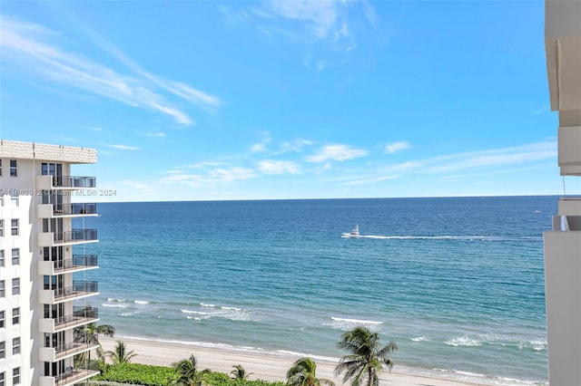 water view featuring a beach view