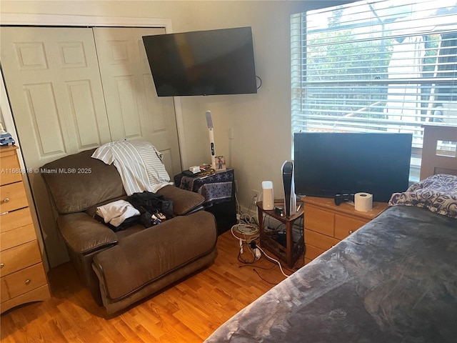 bedroom featuring light wood finished floors and a closet