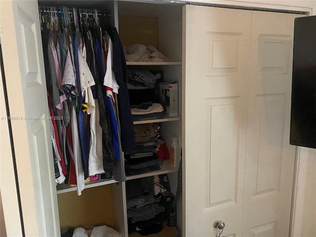 view of closet