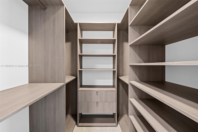 spacious closet featuring light wood-type flooring