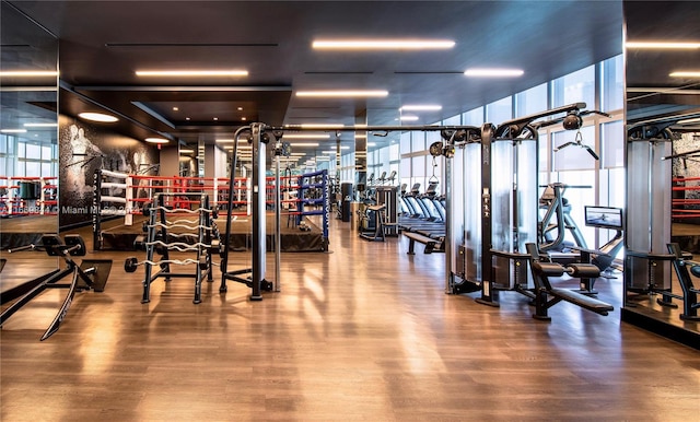 gym with wood-type flooring and expansive windows