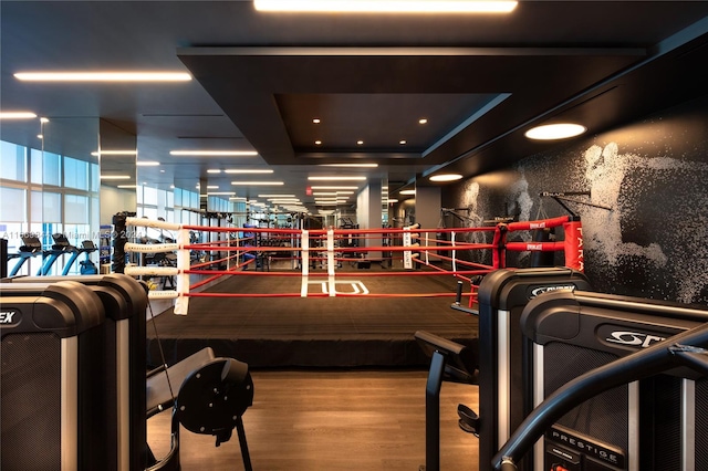 exercise room with wood-type flooring and a raised ceiling