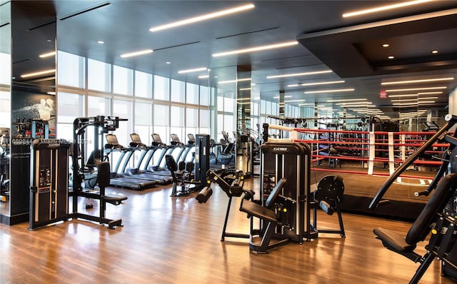 workout area featuring a wall of windows and hardwood / wood-style floors