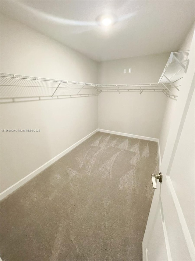 walk in closet featuring carpet