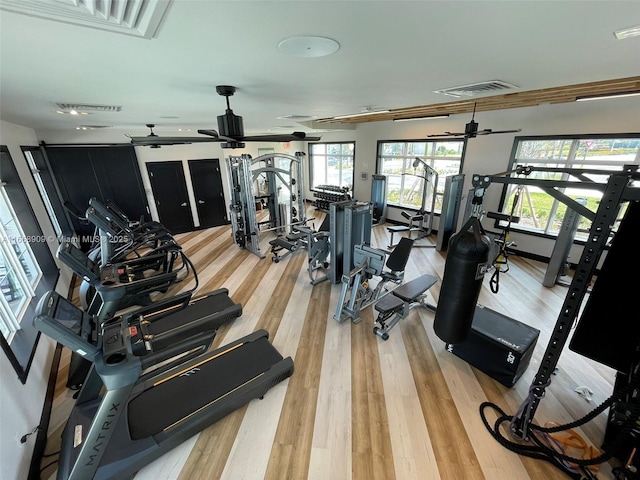 exercise room with visible vents, light wood-style floors, and a ceiling fan