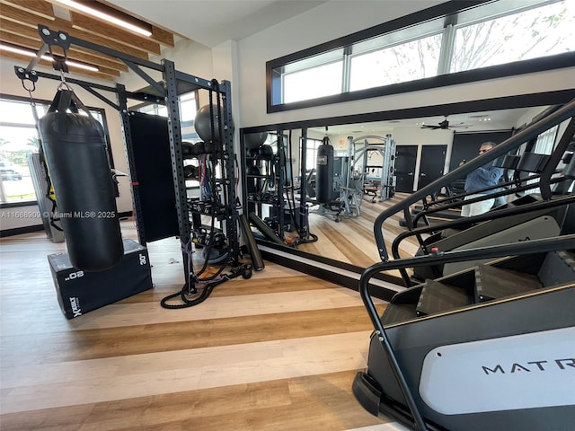 workout area featuring wood finished floors and a ceiling fan