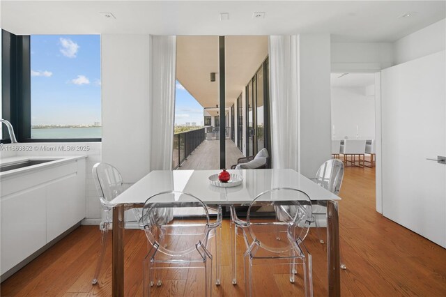 dining space with sink, light hardwood / wood-style flooring, a water view, and a wealth of natural light