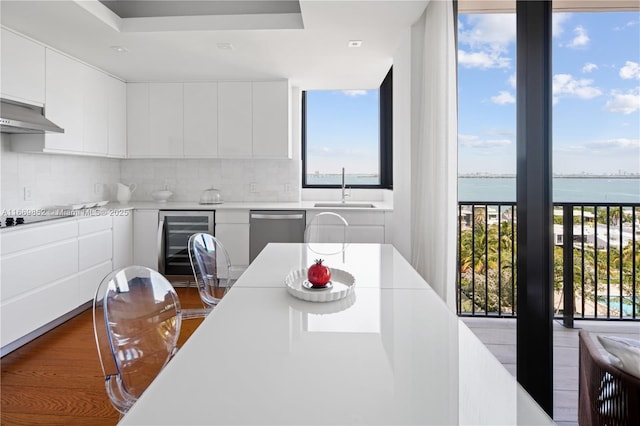 kitchen with stainless steel dishwasher, wine cooler, sink, a water view, and a wealth of natural light