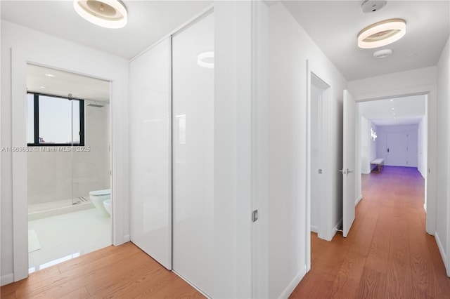 hallway featuring hardwood / wood-style flooring