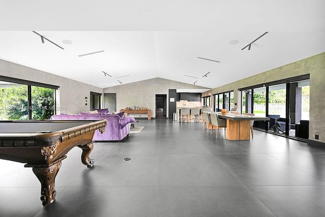 playroom with concrete flooring, vaulted ceiling, and a wealth of natural light