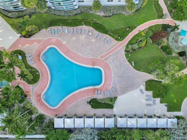 view of pool featuring a patio