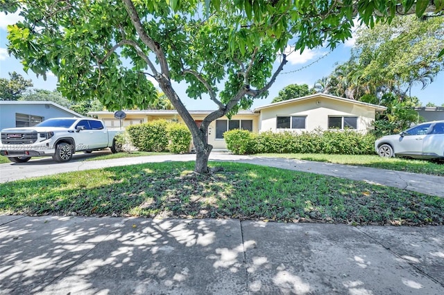 ranch-style home with a front lawn and stucco siding