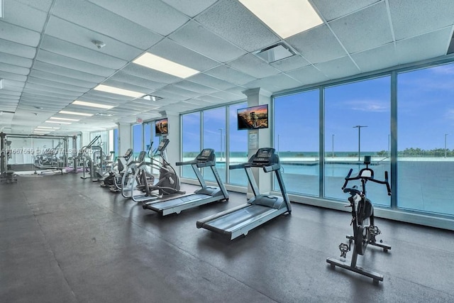 exercise room with floor to ceiling windows and a drop ceiling