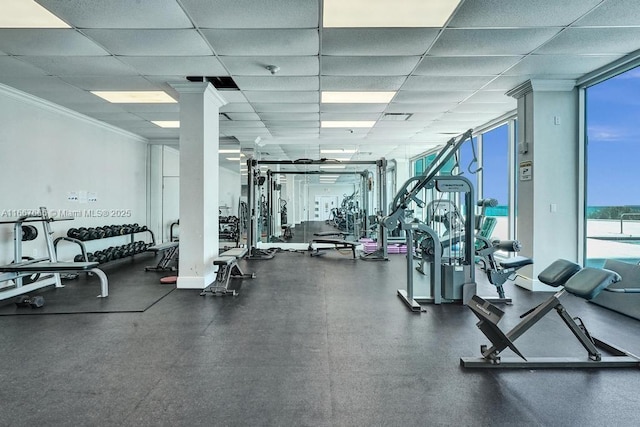 gym with a wall of windows, plenty of natural light, crown molding, and a drop ceiling