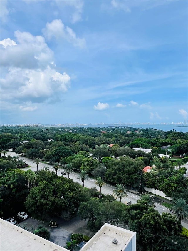 4250 Biscayne Blvd Unit 1206, Miami, FL 33137 - drone / aerial view