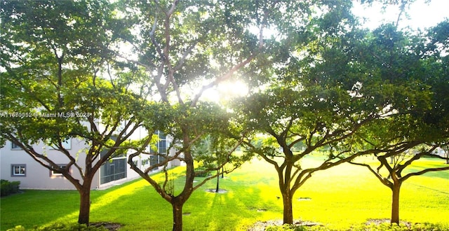 view of property's community featuring a yard