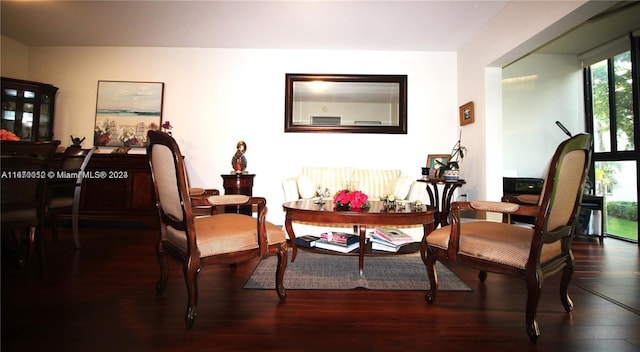 living area featuring dark wood-type flooring