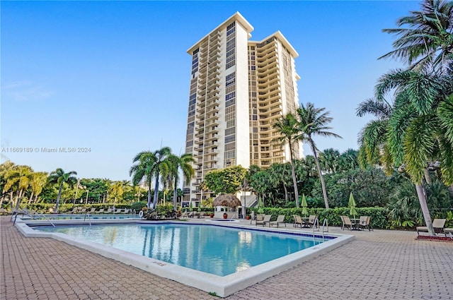 view of swimming pool featuring a patio