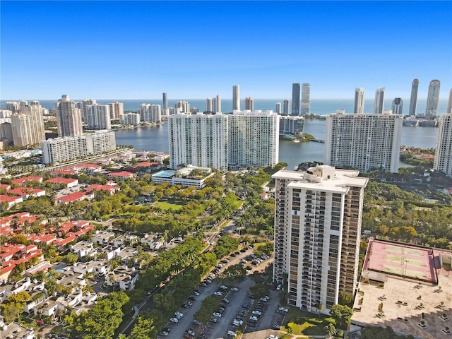 bird's eye view with a water view