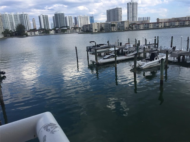 dock area with a water view