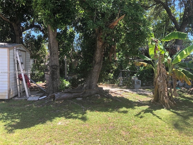 view of yard featuring a shed