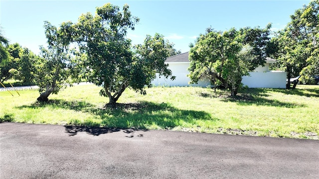 view of front of property with a front lawn