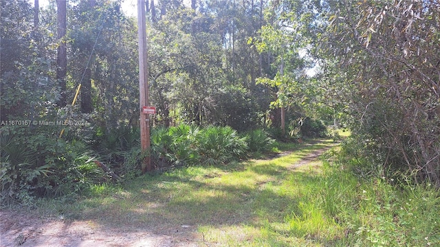 Listing photo 3 for UNDETERMINED NE 42nd St, Ocala FL 34488