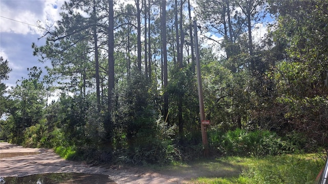 UNDETERMINED NE 42nd St, Ocala, FL 34488 - photo 4