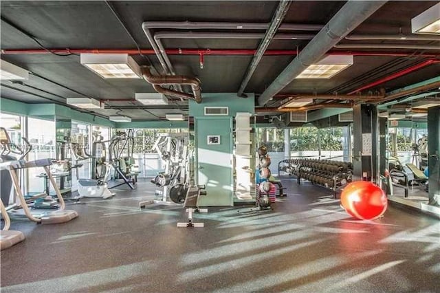 exercise room featuring plenty of natural light