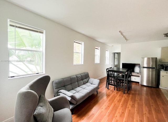 living room with track lighting and wood-type flooring