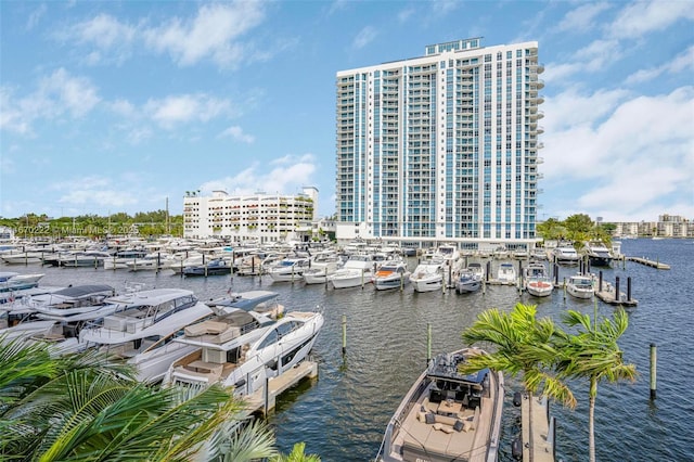 dock area featuring a water view