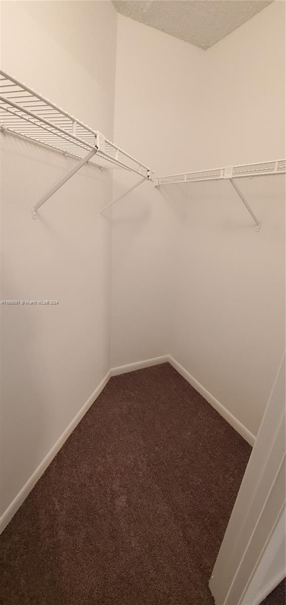 215 Lake Pointe Dr Unit 210, Oakland Park, FL 33309 - walk in closet with dark colored carpet