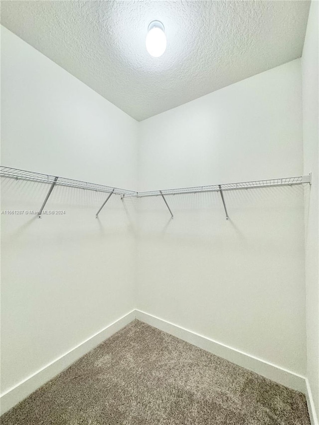 walk in closet featuring carpet