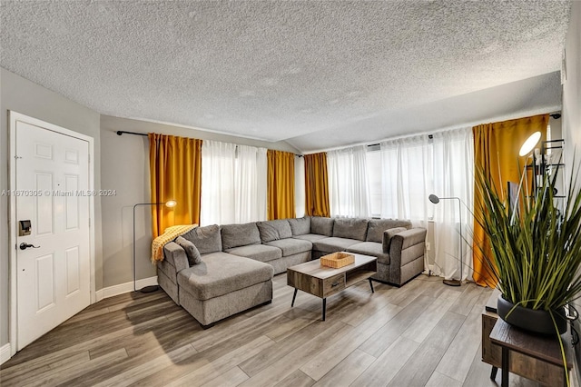 living room featuring wood-type flooring and a textured ceiling