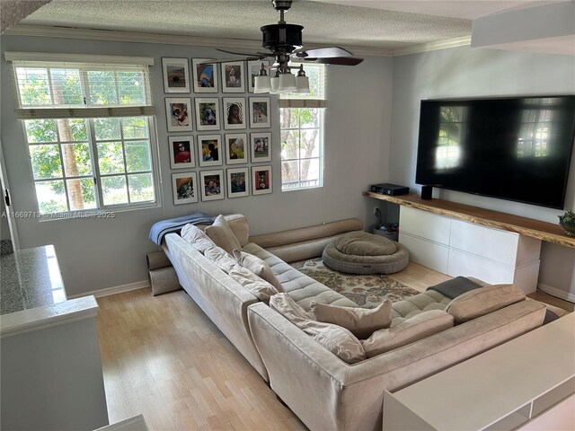 living room featuring a textured ceiling, light wood-type flooring, ceiling fan, and ornamental molding