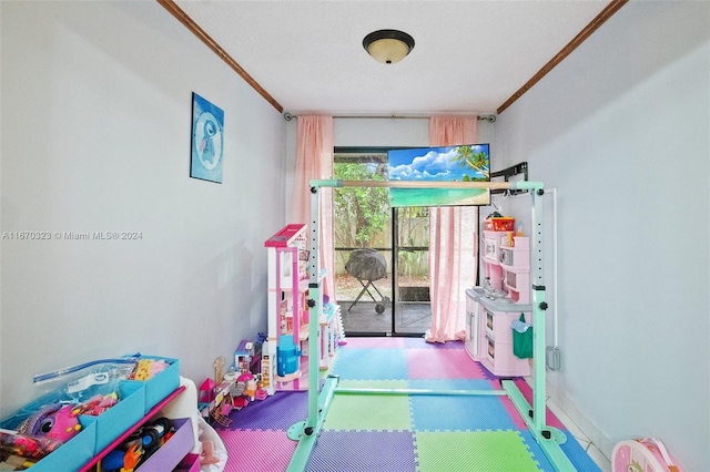 playroom with crown molding