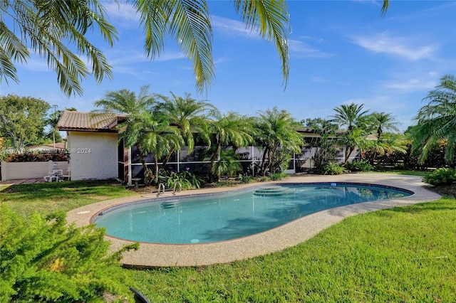 view of swimming pool with a yard