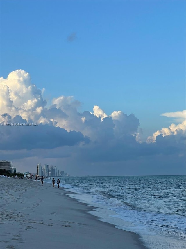 property view of water featuring a beach view